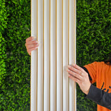 Painel ripado - Côncavo - Branco/Dourado 2,49m